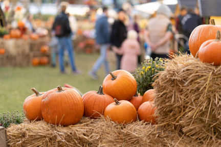Autumn Festival