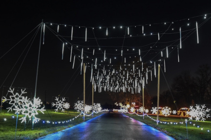 Magic of Lights