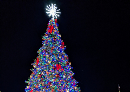 Silverton Casino Christmas Tree Lighting