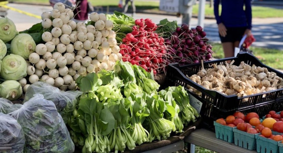 RootsFarmVendorProductSummerMarketFallVegetablesTurnipsBokChoyGarlic_Crop