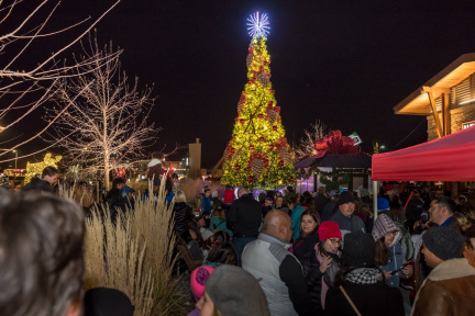 Annual Tree Lighting