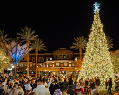 Tree Lighting Tivoli Village
