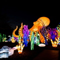 OAKLAND-LANTERN-FESTIVAL-SMALL-scaled