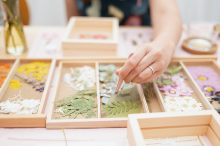 pressed-flowers-workshop-perth-australia