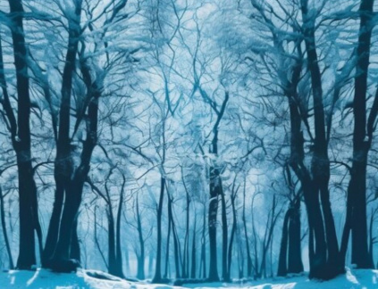Winter Workshop Day