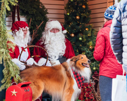 54th Annual Tree Lighting