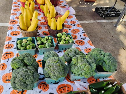 Plano Farmers Market