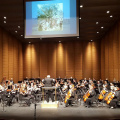 Dakota Valley Symphony