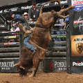 PBR Unleash the Beast