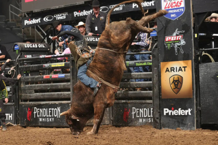 PBR Unleash the Beast