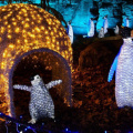 Wild_Lights_penguins_Kari_Frey_Saint_Louis_Zoo