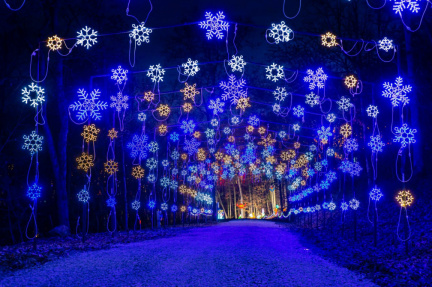 Santa’s Magical Kingdom