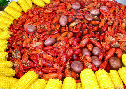 St. Petersburg Fall Seafood &amp; Music Festival