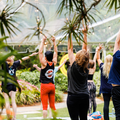 yoga-festival-small