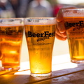 beer-options