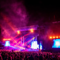 Palm Tree Music Festival