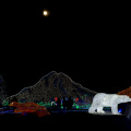 Zoolights-landscape