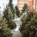 Tanque Verde Market Holiday Edition
