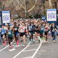 Ted Corbitt 15K