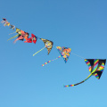 Gold Coast's Kite Flying Festival