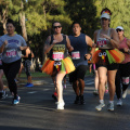 race 81660 216396 903cc6b7-4b56-4ebd-904e-04fbabb2d576