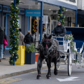 Holiday Stroll
