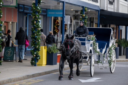 Holiday Stroll
