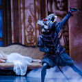 The Nutcracker