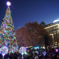 Tree Lighting Celebration