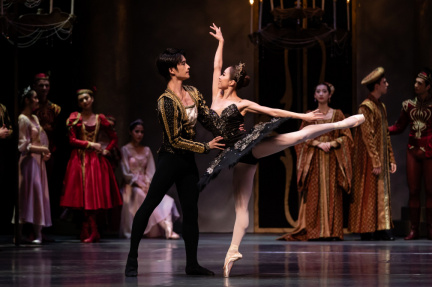Swan Lake