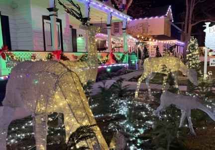 Cousin Eddie Party