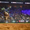 PBR Unleash The Beast