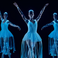 We call it Ballet Sleeping Beauty Dance & Light Show enhanced