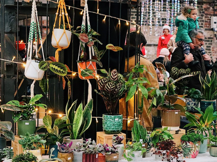 Pollen Market