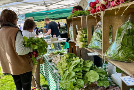Winter Market