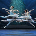 the-nutcracker