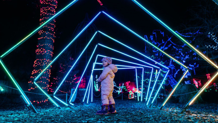 CalgaryZoo_ZooLight_November2024_20097954-B6C7-CF7D-B8DDBB6444B9EBDA_200ac1d8-deaf-0890-21557fa20eb79de3