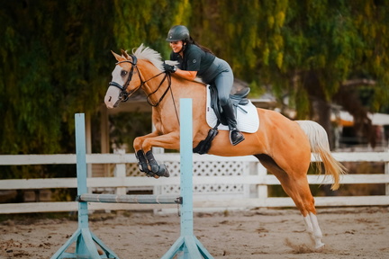Equestrian Christmas Show- Alejandro Luna