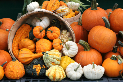 Greenville State Farmers Market