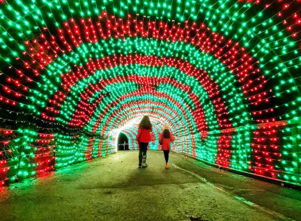 Holidays at the Zoo