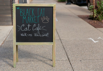 Black Cat Holiday Market