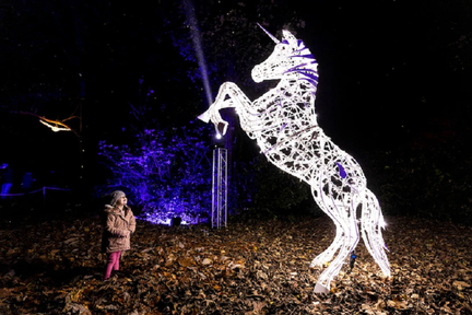 Wonderlights
