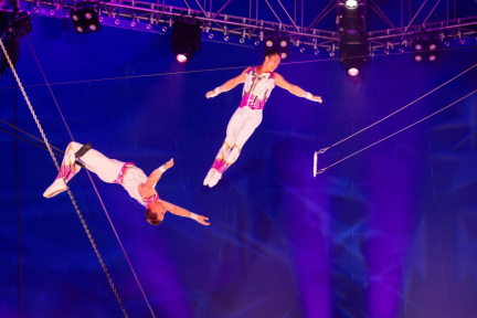 Circus Sarasota