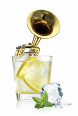 Bild GinJazz