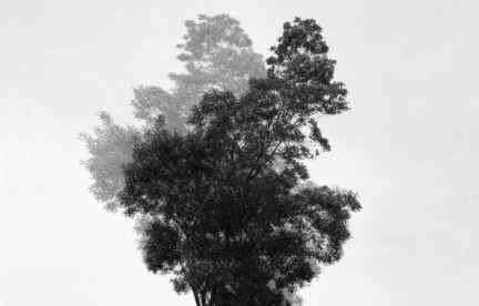 Air footprints