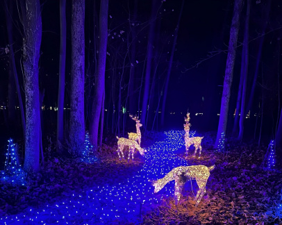 Fox Cities Festival of Lights