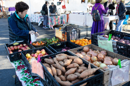South side farmers