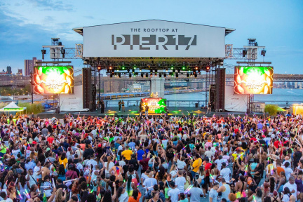 Reggae Fest