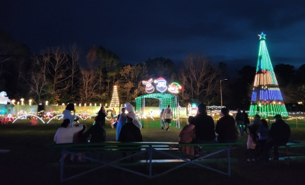 Winter Wonderland