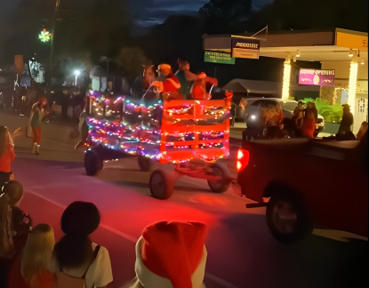 5th Annual Bonnie Melrose Christmas Festival and Parade of Lights